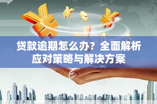 浔阳贷款逾期怎么办？全面解析应对策略与解决方案