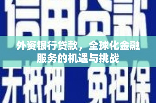 浔阳外资银行贷款，全球化金融服务的机遇与挑战
