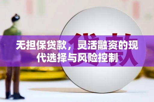 浔阳无担保贷款，灵活融资的现代选择与风险控制