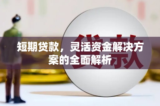 浔阳短期贷款，灵活资金解决方案的全面解析