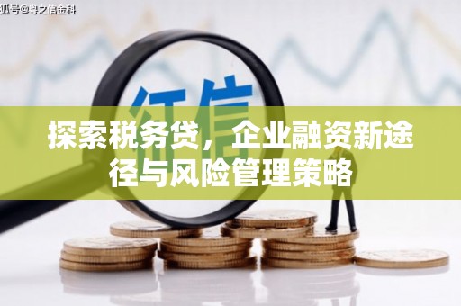 浔阳探索税务贷，企业融资新途径与风险管理策略