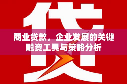 浔阳商业贷款，企业发展的关键融资工具与策略分析