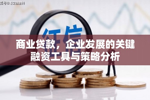浔阳商业贷款，企业发展的关键融资工具与策略分析