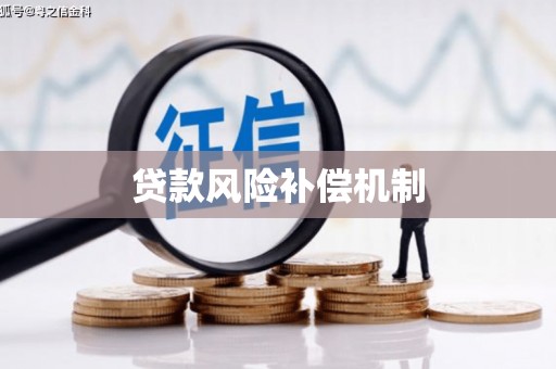 浔阳贷款风险补偿机制