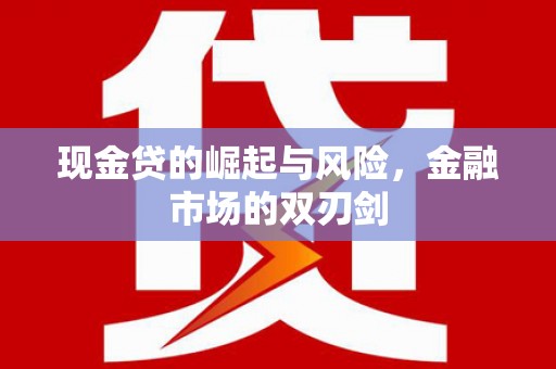 浔阳现金贷的崛起与风险，金融市场的双刃剑