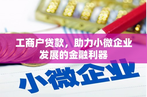 浔阳工商户贷款，助力小微企业发展的金融利器