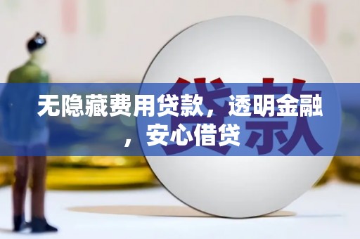 浔阳无隐藏费用贷款，透明金融，安心借贷