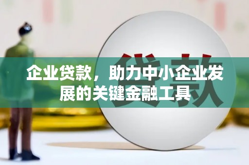 浔阳企业贷款，助力中小企业发展的关键金融工具