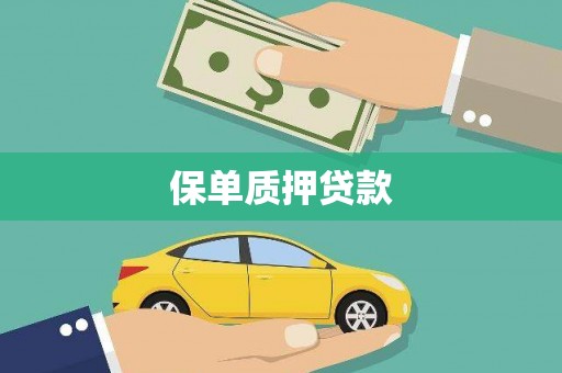 浔阳保单质押贷款