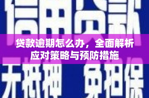 浔阳贷款逾期怎么办，全面解析应对策略与预防措施