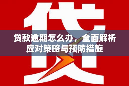 浔阳贷款逾期怎么办，全面解析应对策略与预防措施