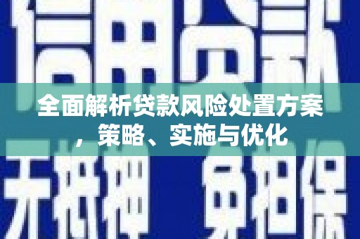 浔阳全面解析贷款风险处置方案，策略、实施与优化