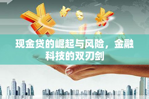浔阳现金贷的崛起与风险，金融科技的双刃剑