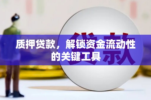 浔阳质押贷款，解锁资金流动性的关键工具