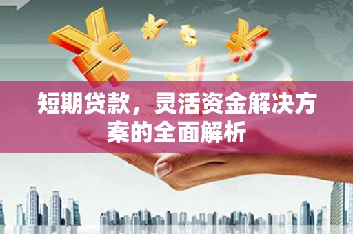 浔阳短期贷款，灵活资金解决方案的全面解析