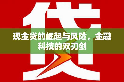 浔阳现金贷的崛起与风险，金融科技的双刃剑