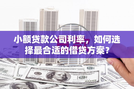 浔阳小额贷款公司利率，如何选择最合适的借贷方案？