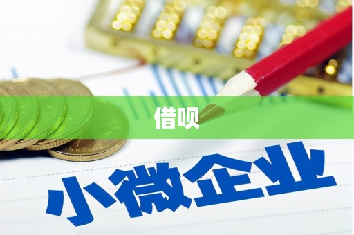 浔阳借呗