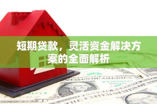 浔阳短期贷款，灵活资金解决方案的全面解析