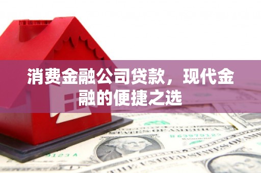 浔阳消费金融公司贷款，现代金融的便捷之选