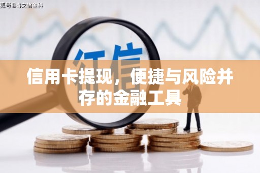 浔阳信用卡提现，便捷与风险并存的金融工具