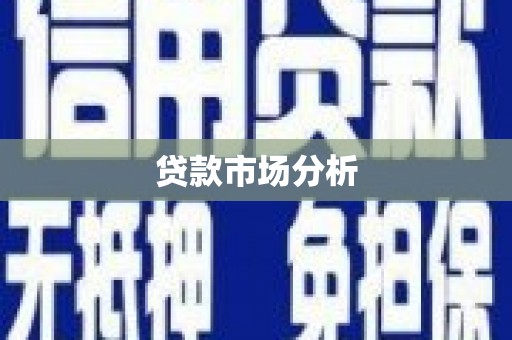 浔阳贷款市场分析