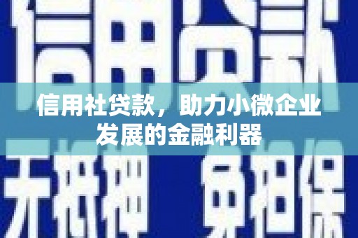浔阳信用社贷款，助力小微企业发展的金融利器