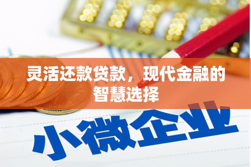 浔阳灵活还款贷款，现代金融的智慧选择
