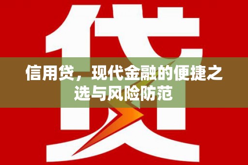 浔阳信用贷，现代金融的便捷之选与风险防范