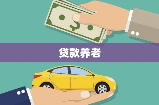 浔阳贷款养老