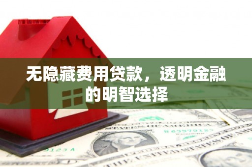 浔阳无隐藏费用贷款，透明金融的明智选择