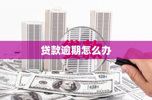 浔阳贷款逾期怎么办
