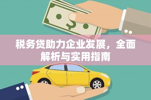 浔阳税务贷助力企业发展，全面解析与实用指南
