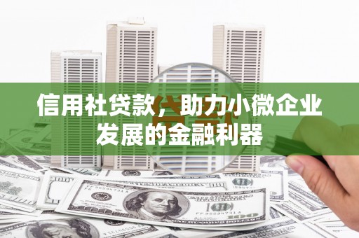 浔阳信用社贷款，助力小微企业发展的金融利器