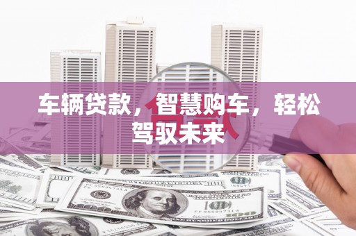 浔阳车辆贷款，智慧购车，轻松驾驭未来