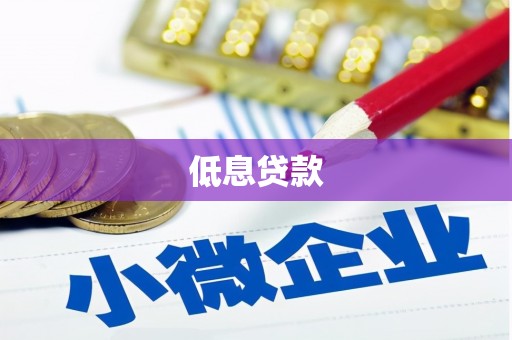 浔阳低息贷款