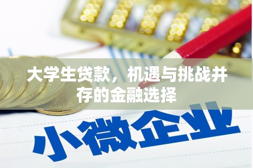 浔阳大学生贷款，机遇与挑战并存的金融选择