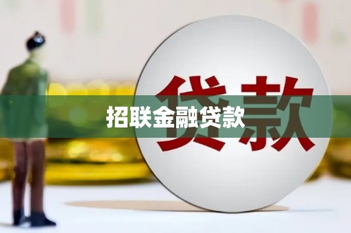 浔阳招联金融贷款