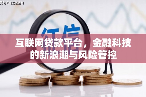 浔阳互联网贷款平台，金融科技的新浪潮与风险管控