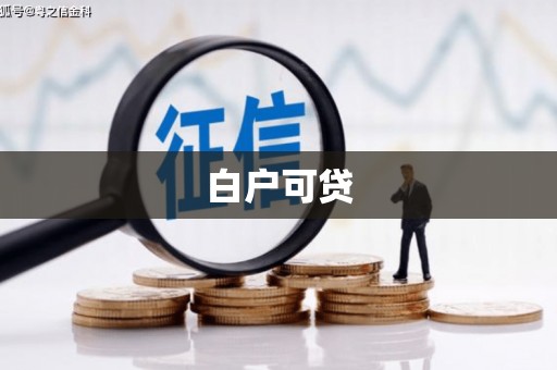 浔阳白户可贷