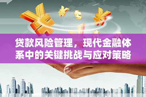 浔阳贷款风险管理，现代金融体系中的关键挑战与应对策略
