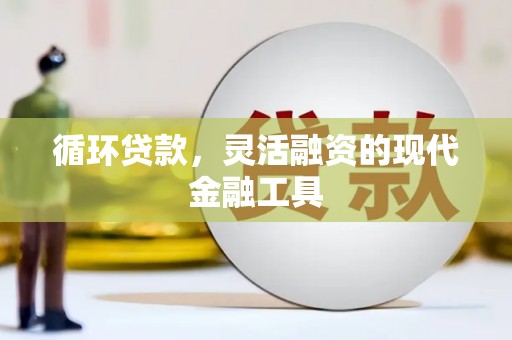 浔阳循环贷款，灵活融资的现代金融工具