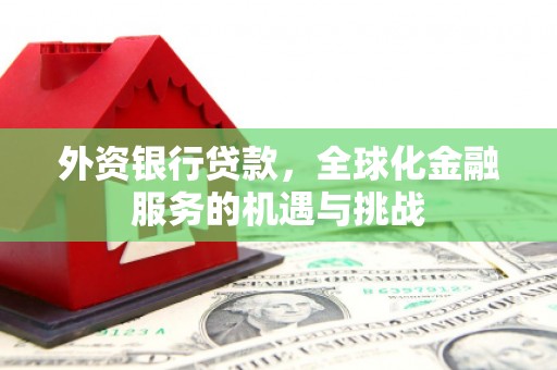 浔阳外资银行贷款，全球化金融服务的机遇与挑战