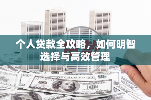 浔阳个人贷款全攻略，如何明智选择与高效管理