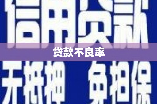 浔阳贷款不良率