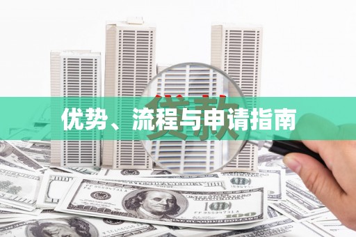 浔阳优势、流程与申请指南
