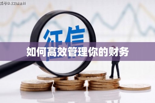 浔阳如何高效管理你的财务