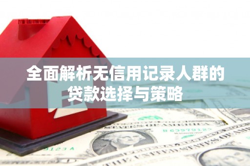 浔阳全面解析无信用记录人群的贷款选择与策略
