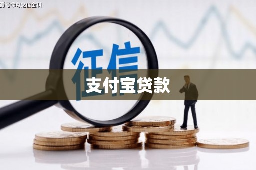 浔阳支付宝贷款