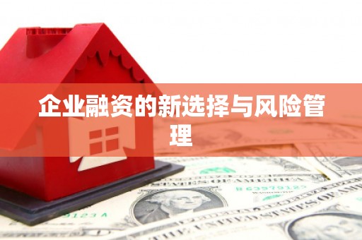 浔阳企业融资的新选择与风险管理
